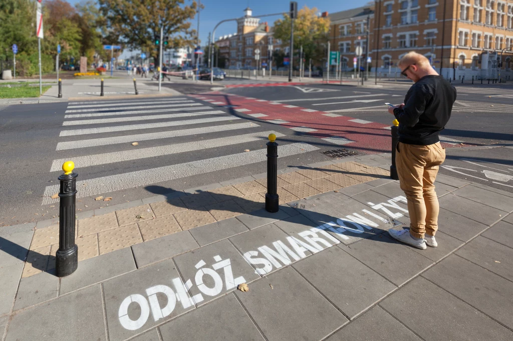 Za korzystanie z telefonu na pasach pieszy otrzyma 300 zł mandatu