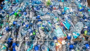 Na polski rynek trafia rocznie ok. 5,5 mln ton opakowań