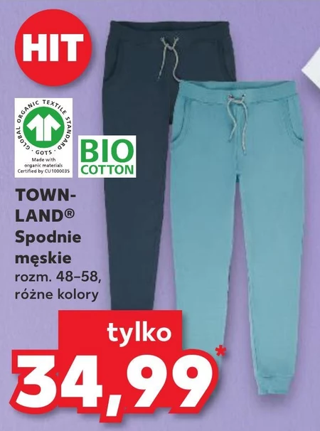 Spodnie męskie Townland