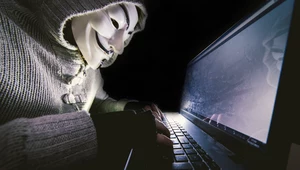 W gospodarstwach domowych pojawia się coraz więcej urządzeń podłączonych do internetu, co starają się wykorzystać hakerzy