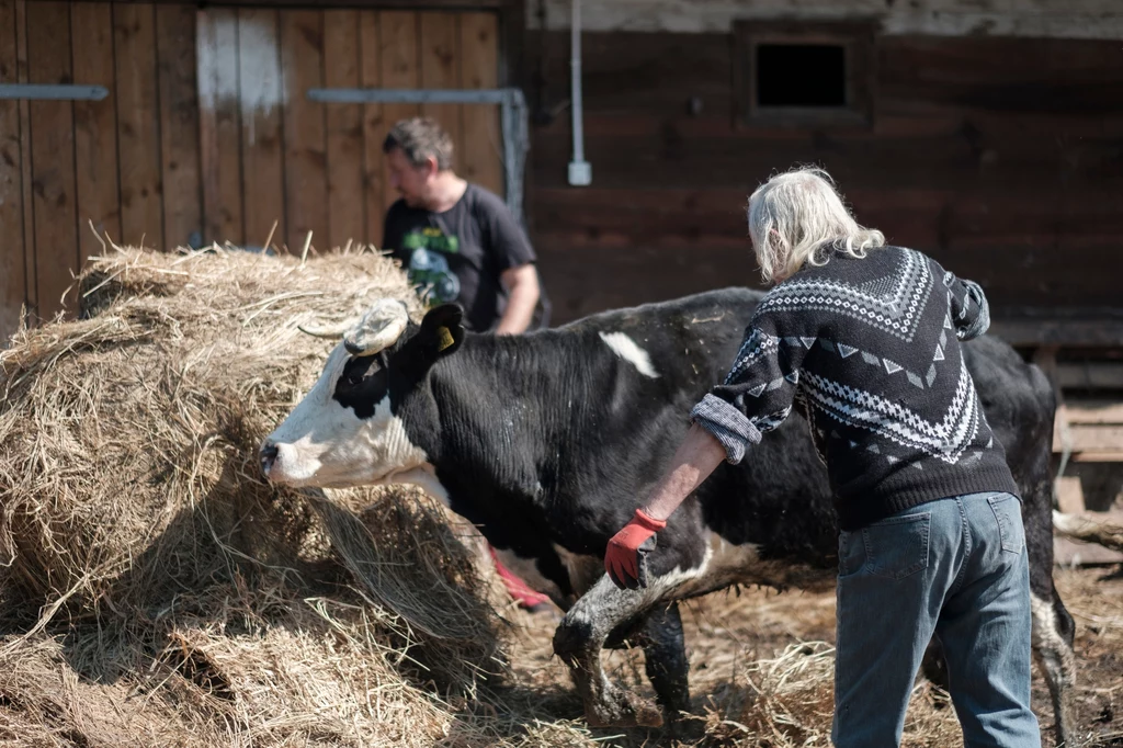 Niesforne zwierzęta? W tym odcinku pokażą, co potrafią