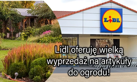 Wyprzedaż w Lidlu.