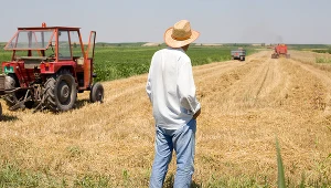 Rządowa strategia bezpieczeństwa żywnościowego Polski zakłada częściowe przejęcie od Ukrainy roli głównego producenta żywności dla Europy