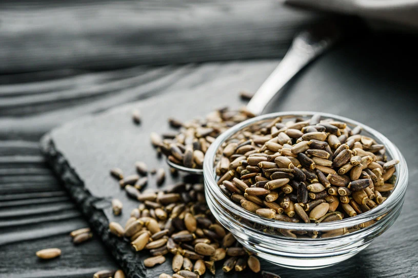 Ostropest wymiata złogi z żył i tętnic. Lekarze ratują nim życie zatrutych grzybami