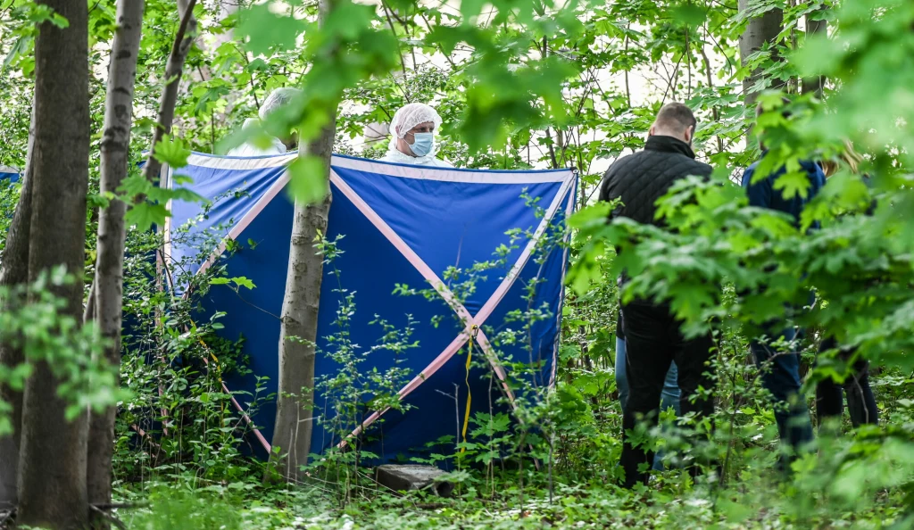 Ubiegłoroczne poszukiwania Iwony Wieczorek Ubiegłoroczne poszukiwania Iwony Wieczorek