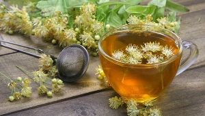 Z właściwości kwiatów lipy korzysta się od setek lat