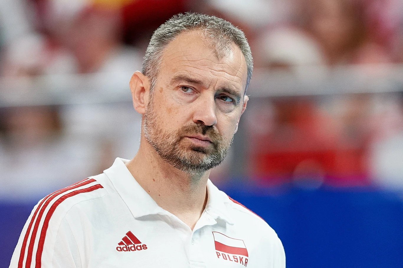 Nikola Grbić