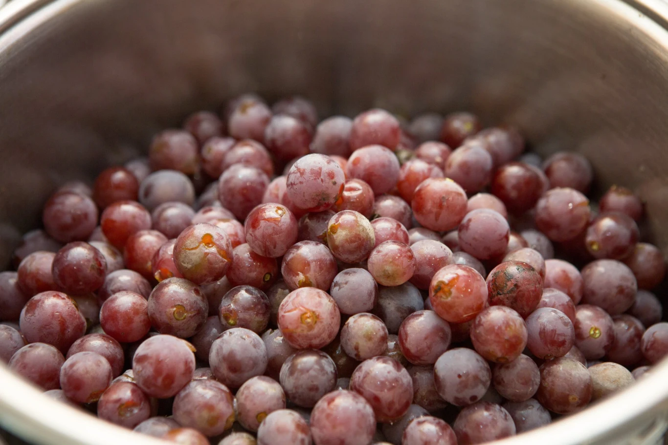 Winogron nie wolno wkładać do mikrofalówki Winogron nie wolno wkładać do mikrofalówki