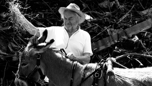 O tegoroczne Złote Lwy powalczy m.in. Jerzy Skolimowski z filmem "IO"
