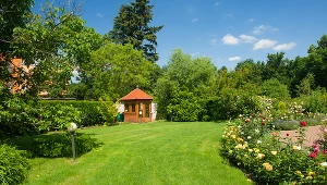 Teściowa posypuje tym trawnik raz w miesiącu. Kiedyś się śmiałam, dziś robię to samo