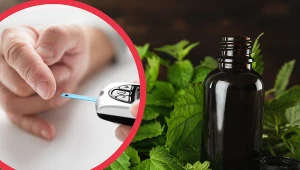 Nalewka z pokrzywy działa oczyszczająco, ale pozwala również obniżyć poziom cukru i ciśnienie tętnicze krwi