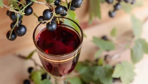 Na nalewkę z porzeczek trzeba trochę poczekać, ale warto. Ma wiele prozdrowotnych właściwości