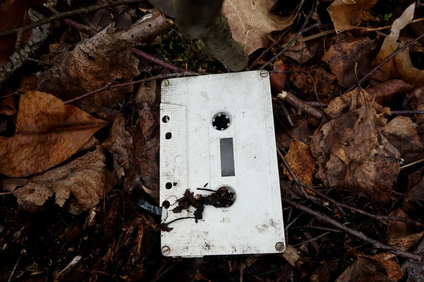 Kaseta magnetofonowa w łódzkim lesie