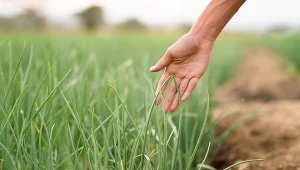 Można otrzymać 60 tys. zł bezzwrotnej premii