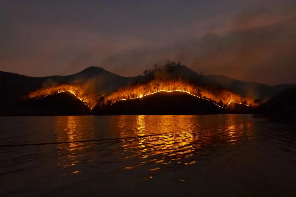 Pożary niszczą europejskie lasy
