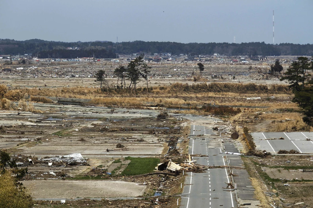 Zwiększoną aktywność wstęgorów na powierzchni wody zaobserwowano przed trzęsieniem ziemi i tsunami, które doprowadziły do katastrofy w Fukushimie w 2011