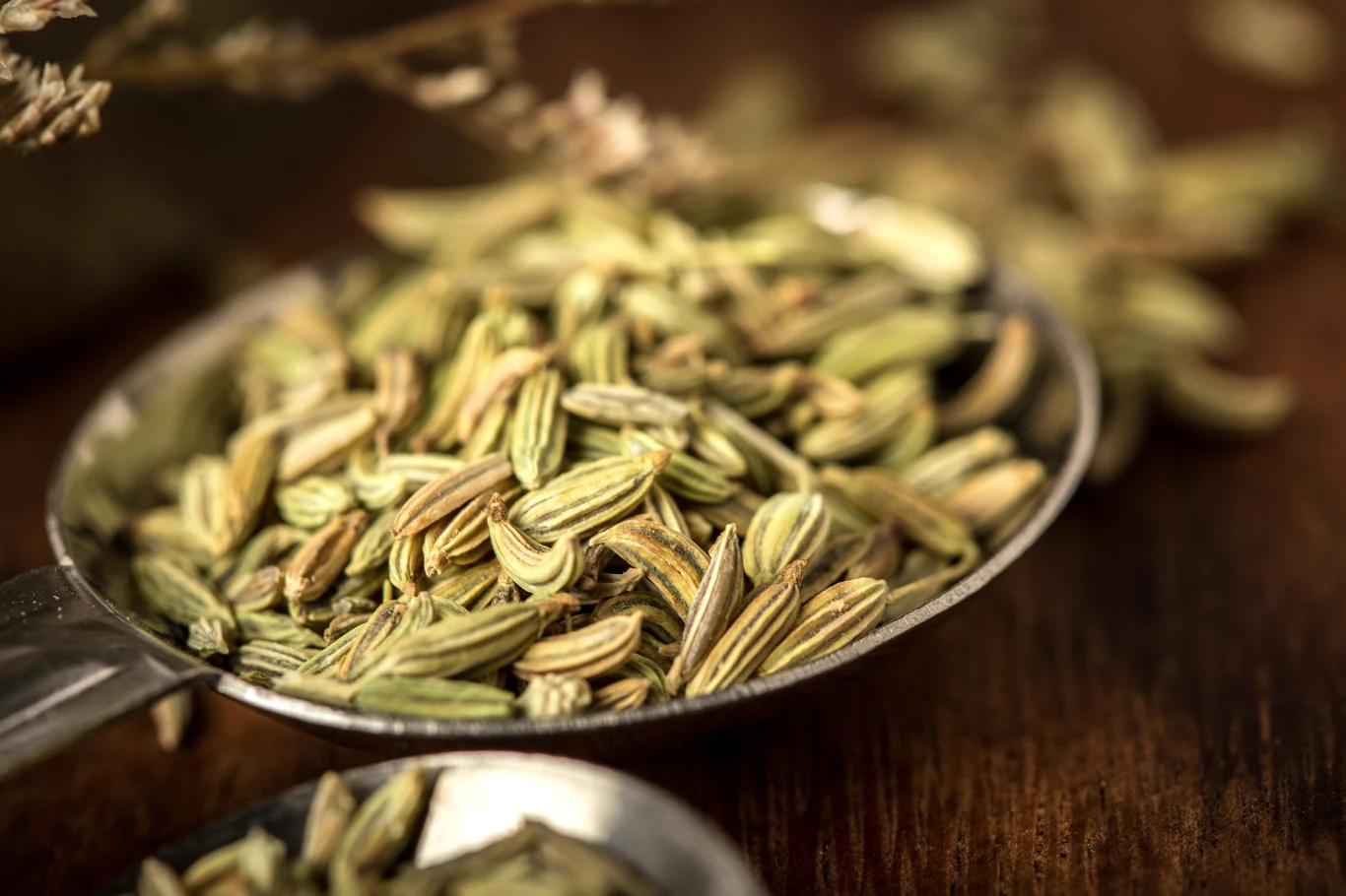 Napar z kopru włoskiego wspomaga trawienie