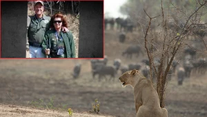 Małżonkowie podczas wyprawy na safari. Zdjęcie zamieścił serwis CBS News 