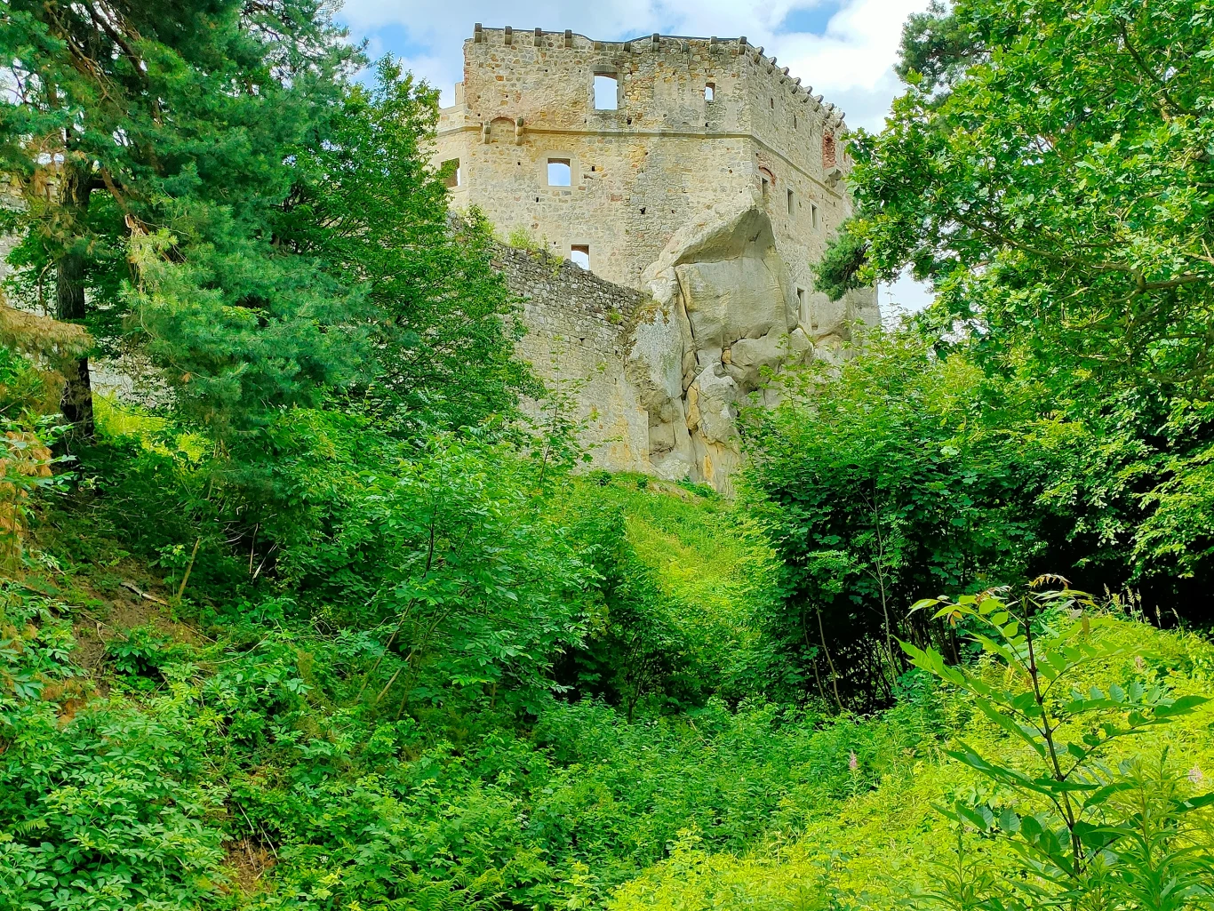 Zamek stoi na skraju lasu