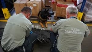 Przejęto hamak z kokainą