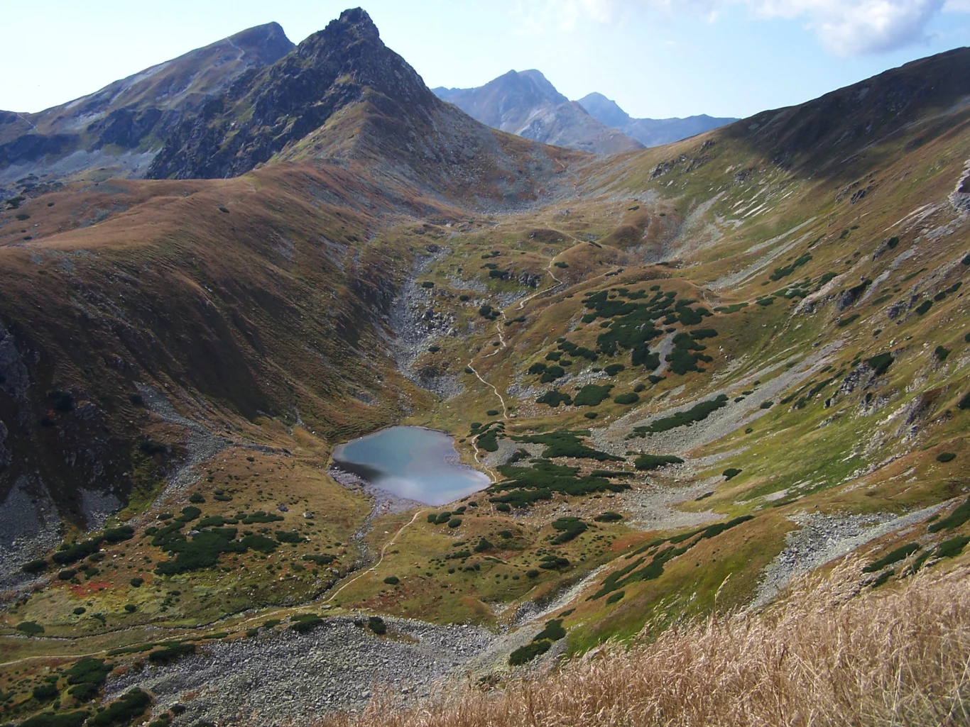 Jak uniknąć tłumów w Tatrach? Mało uczęszczana Dolina Jamnicka to niezwykle malownicze miejsce po słowackiej stronie. Jak uniknąć tłumów w Tatrach? Mało uczęszczana Dolina Jamnicka to niezwykle malownicze miejsce po słowackiej stronie.