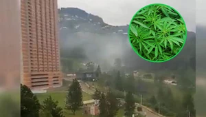 Gigantyczna chmura dymu z marihuany. Odurzoną ludność ewakuowano