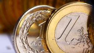 Adam Glapiński przestrzega przed szybkim przyjęciem euro. Zdaniem szefa NBP stwarzałoby to istotne ryzyka dla polskiej gospodarki. Zdj. ilustracyjne