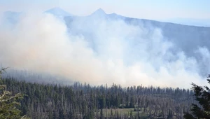 Pilot umiera podczas akcji gaszenia pożaru. 49℃ w Portugalii