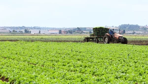 Do zabójstwa doszło na jednej z farm w RPA