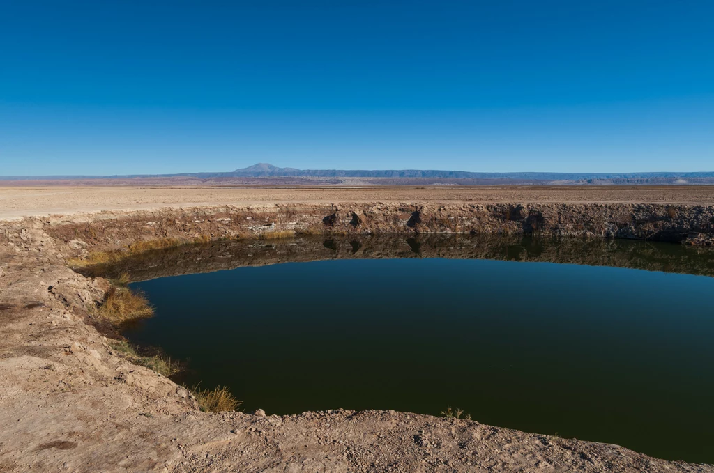 Laguny Ojos del Salar w Salar de Atacama