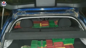 Mężczyzna włamał się na plantację malin  w Moniakach