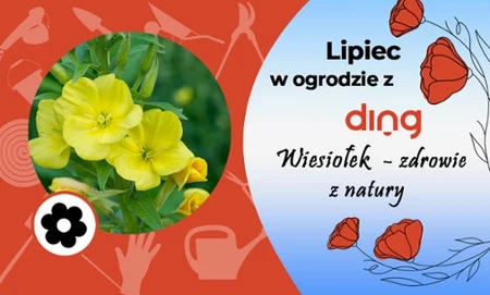 Okładka artykułu