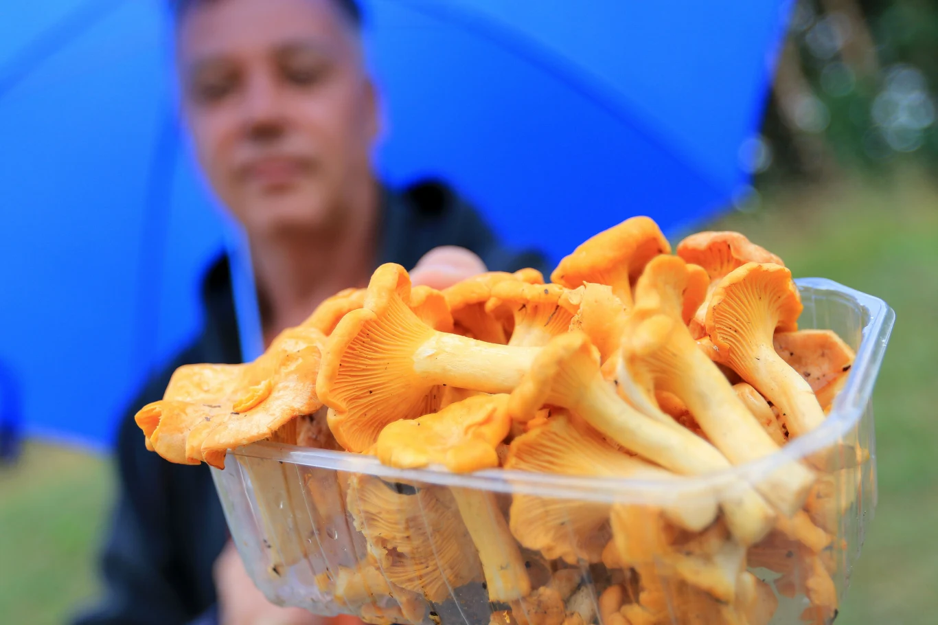 Kurki stały się nowym rarytasem. W niektórych miejscach za kilogram tych grzybów trzeba było zapłacić nawet 100 zł. Ale gdzie indziej cena potrafi być ponad dwa razy mniejsza Kurki stały się nowym rarytasem. W niektórych miejscach za kilogram tych grzybów trzeba było zapłacić nawet 100 zł. Ale gdzie indziej cena potrafi być ponad dwa razy mniejsza