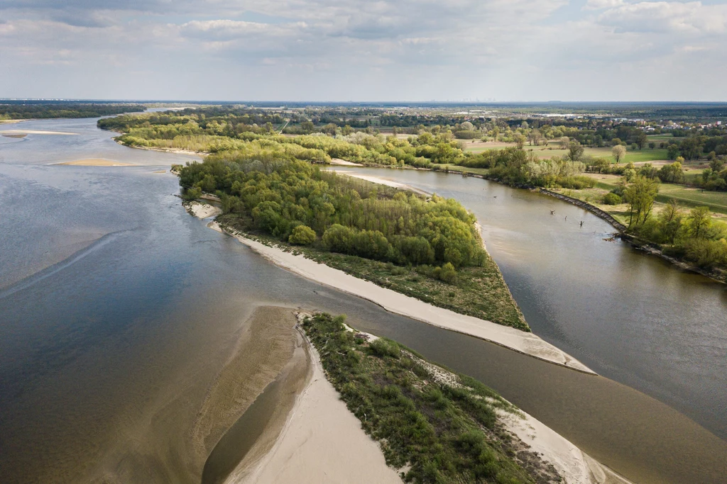 Polska wysycha. Stan rzek w wielu miejscach jest niebezpiecznie niski. Dlaczego rzeki w Polsce wysychają? Powodów jest kilka