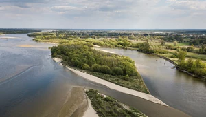 Polskie rzeki wysychają. Czy suszę można jeszcze powstrzymać?