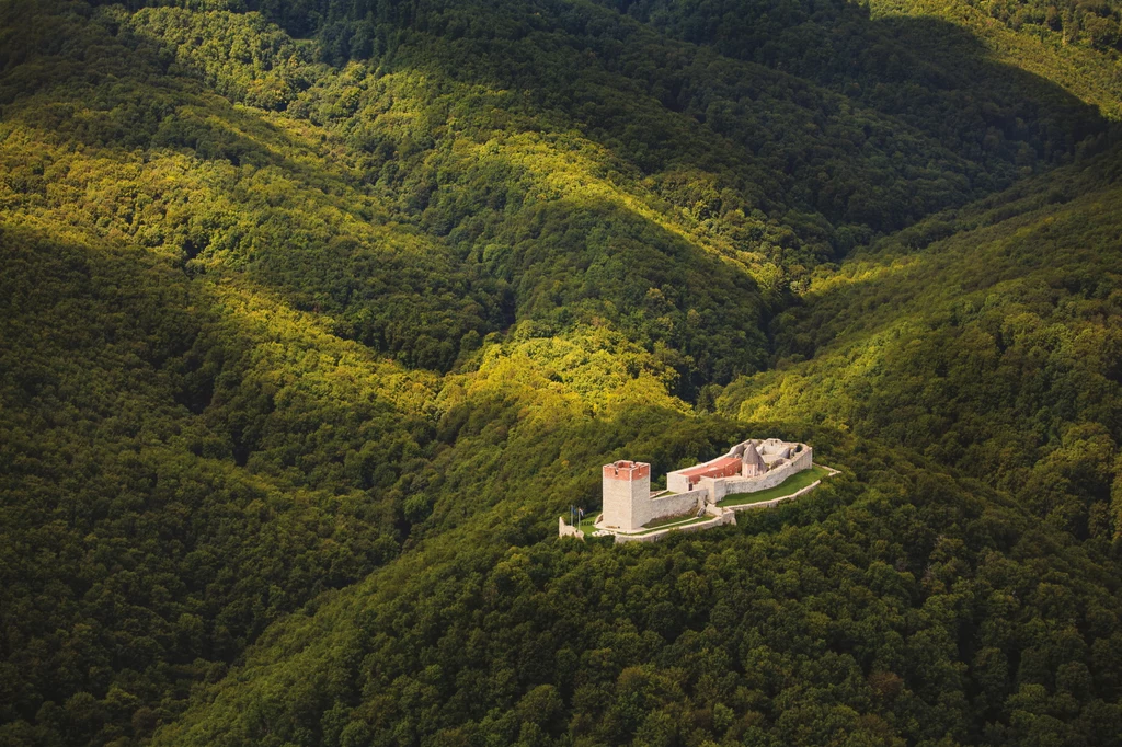 Średniowieczna twierdza Medvedgrad, skrywa się w gęstym lesie /fot. Zoran Jelaca