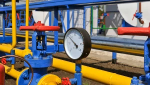 Gospodarki Włoch, Czech, Słowacji i Węgier mogą zmniejszyć się o około 5 proc. w 2023 roku, gdyby Rosja wprowadziła embargo na dostawy gazu na Stary Kontynent