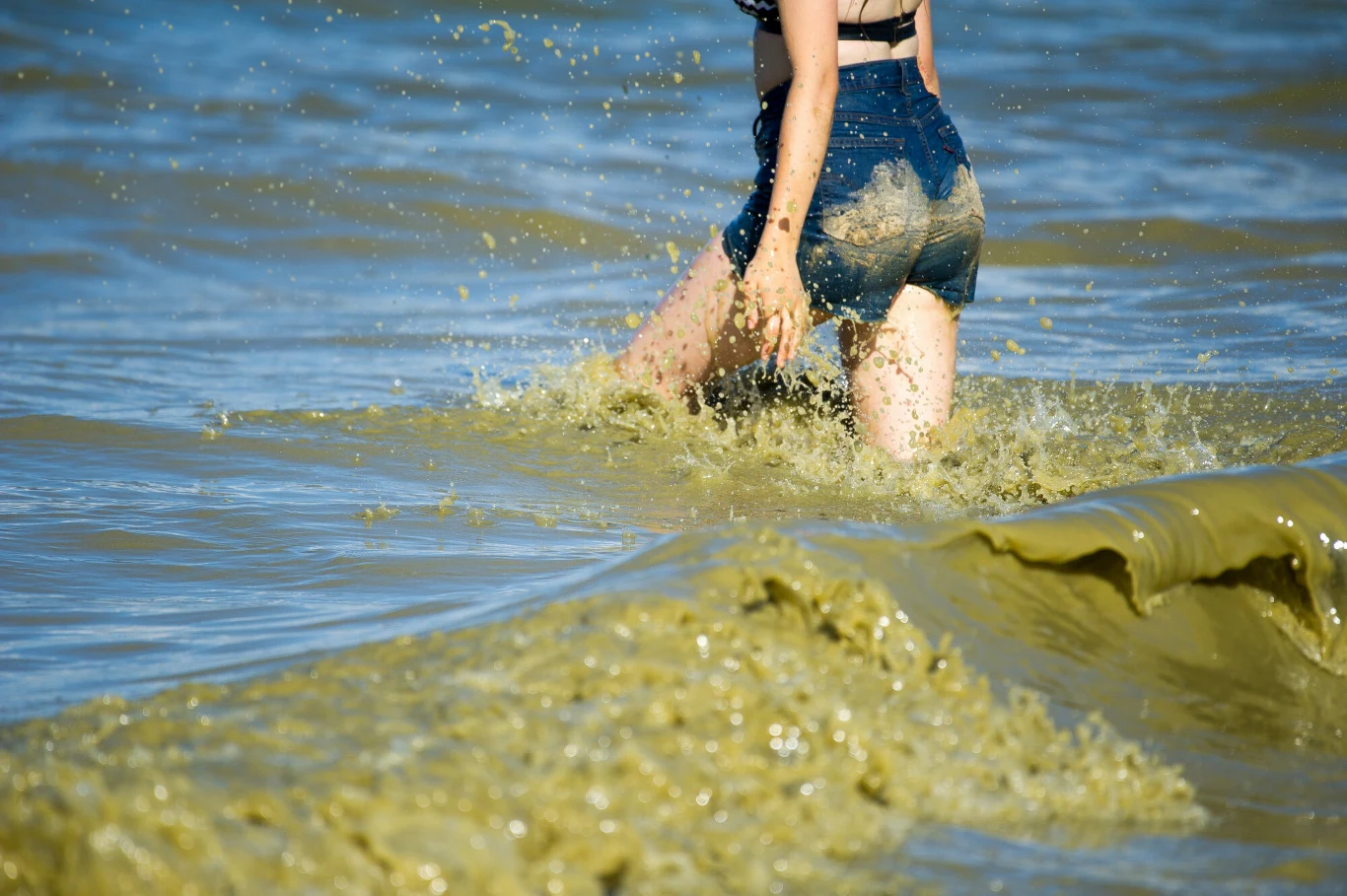 Wchodzenie do wody gdy widoczne są zakwity sinic może być bardzo groźne. Toksyny wpływają negatywnie na skórę, układ pokarmowy i oddechowy Wchodzenie do wody gdy widoczne są zakwity sinic może być bardzo groźne. Toksyny wpływają negatywnie na skórę, układ pokarmowy i oddechowy