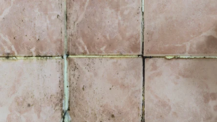 Postaraj się czyścić fugi w łazience regularnie. W przeciwnym razie pojawi się tam nie tylko brud, ale także pleśń