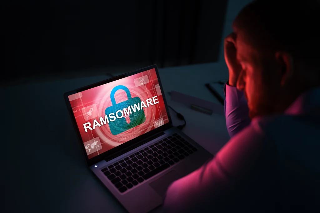 Polisę na wypadek cyberataku ma aż 97 proc. dużych polskich przedsiębiorstw