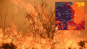 Lasy jak tykająca bomba. Alerty RCB o zagrożeniu pożarowym