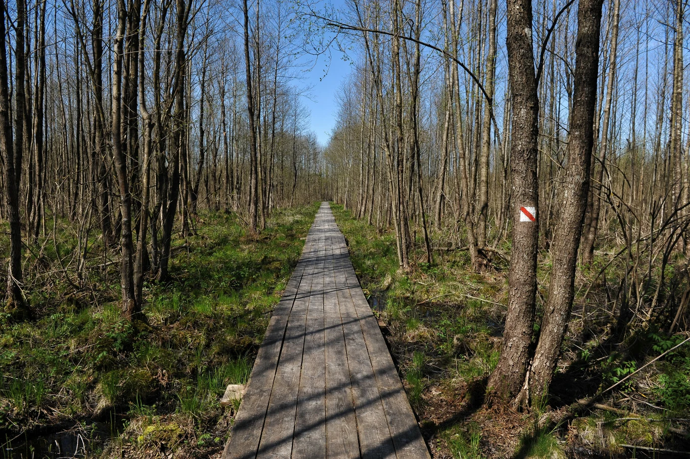 Biebrzański Park Narodowy Biebrzański Park Narodowy