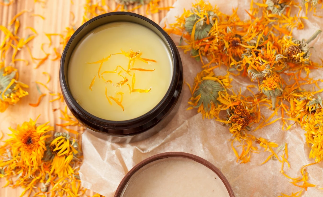 Maść nagietkowa złagodzi stany zapalne skóry i przyspieszy gojenie Maść nagietkowa złagodzi stany zapalne skóry i przyspieszy gojenie