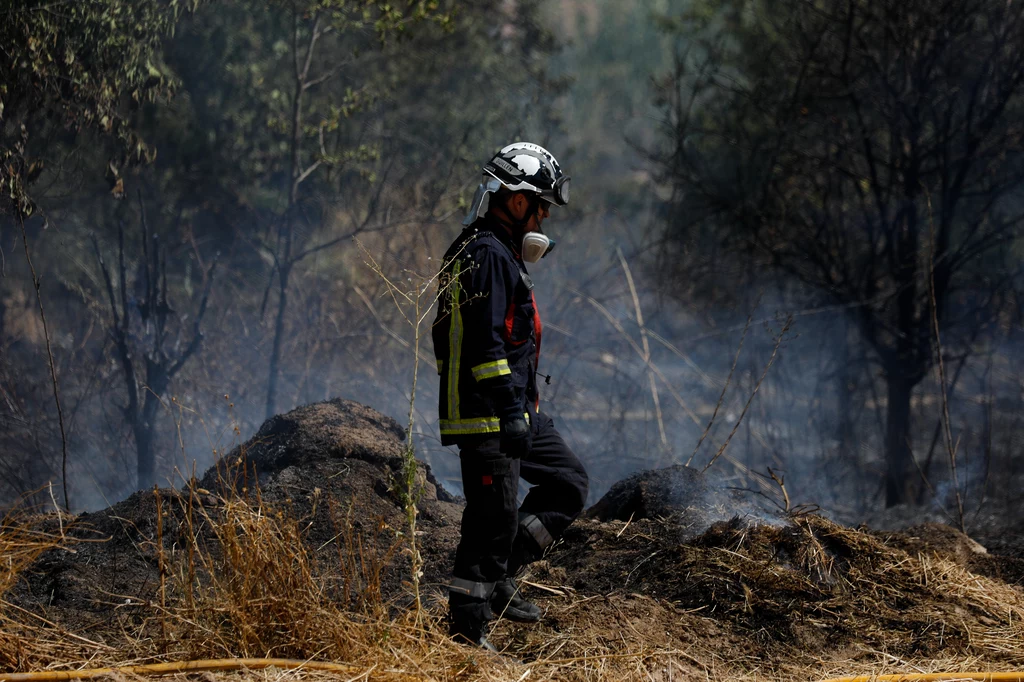Hiszpania zmaga się z katastrofalnymi upałami. Kraj trawią niszczycielskie pożary, a przez wysokie temperatury zmarło już 700 osób