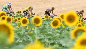 Tour de France