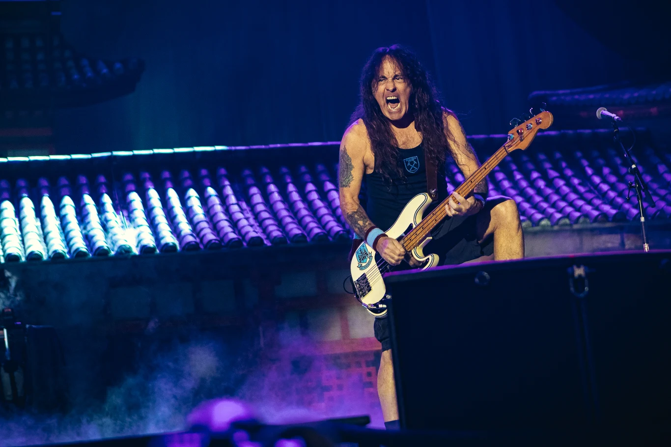 Steve Harris (Iron Maiden)