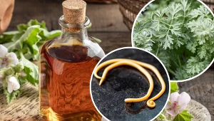 Domowe sposoby na usuwanie pasożytów nie zawsze są zalecane przez lekarzy 