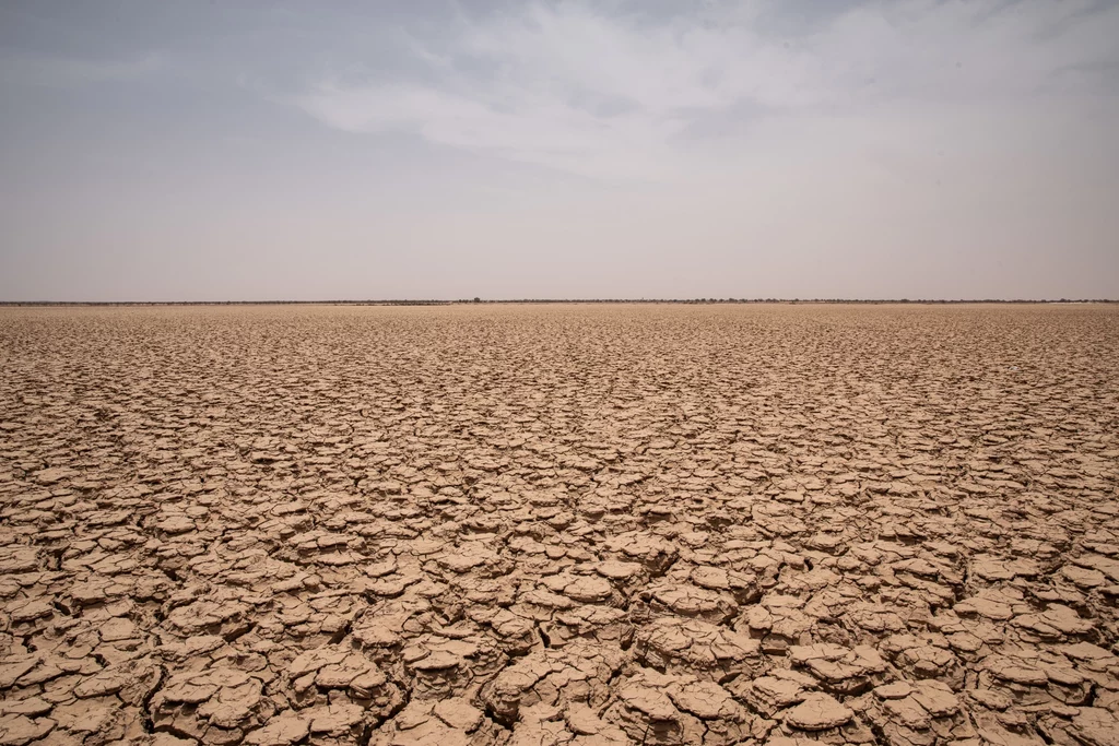 W najgorętszych miejscach na Ziemi temperatura w ciągu dnia często przekracza 50 stopni Celsjusza w cieniu. Tereny te są spalone słońcem i w wielu przypadkach zupełnie nie nadają się do życia/ Mali - widok na wyschnięte jezioro