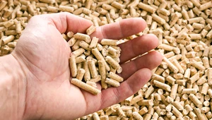Cena za pellet w 2022 roku w stosunku do poprzedniego podskoczyła już niemal trzykrotnie. Ile obecnie trzeba zapłacić za tonę pelletu?
