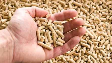 Czy w piecu na pellet można palić owsem? 